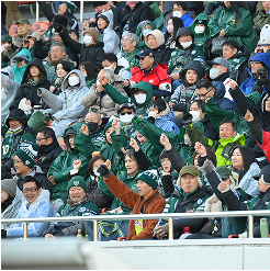 観戦招待クーポン